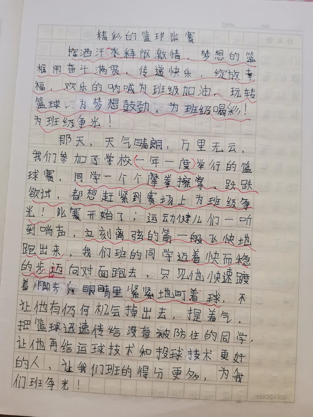 篮球训练心得体会300字作文大全怎么写